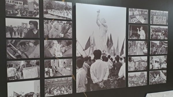 ԺΪ36ٰ조̣ѣǳм̡Ӱչɾѹȡ޸