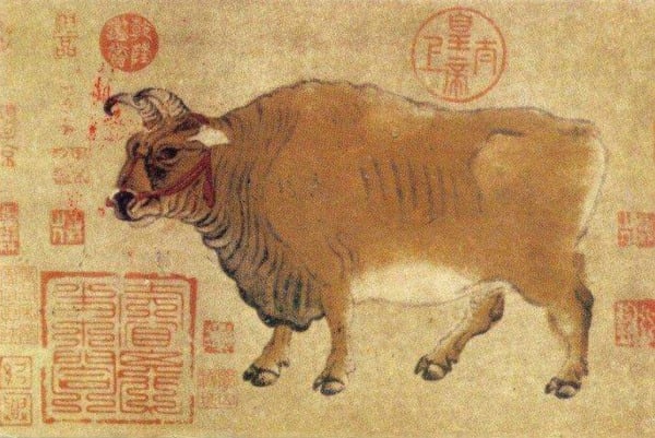  ꡶ţͼֲ