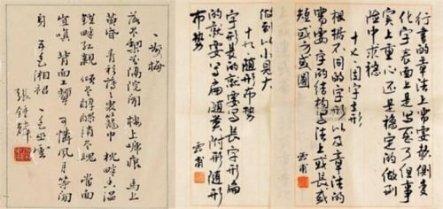 鸦鷨