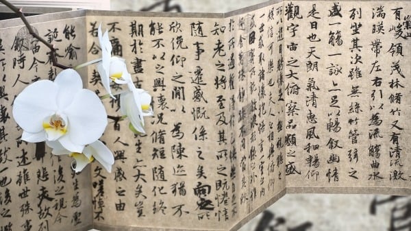  鷨 