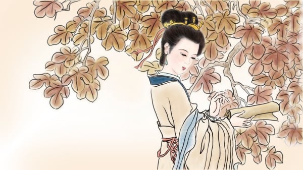   ǽ  й лŮ