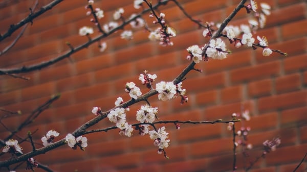   ǽ  й лŮ