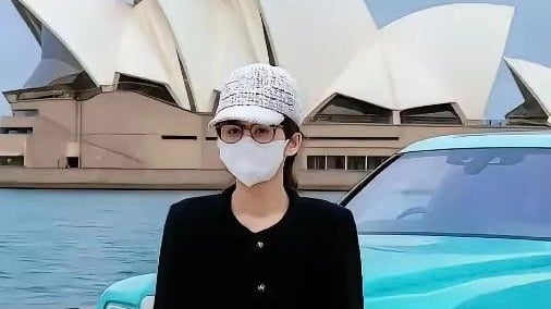  ޳