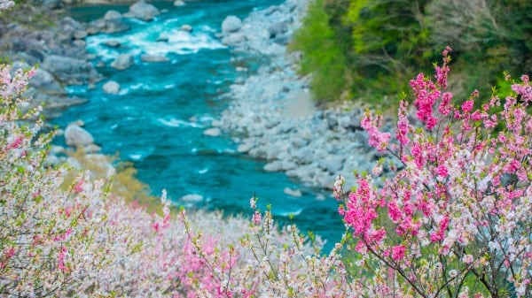 һԴ СϪ(16:9)
