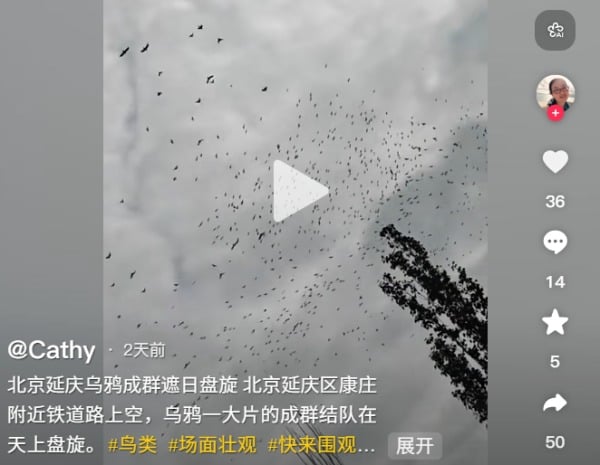 ѻ