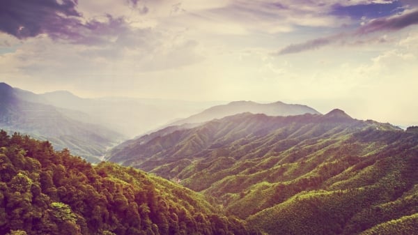 袁文才讲义气帮助穷人深得人心,这些品质反而给自己带来了杀身之祸。