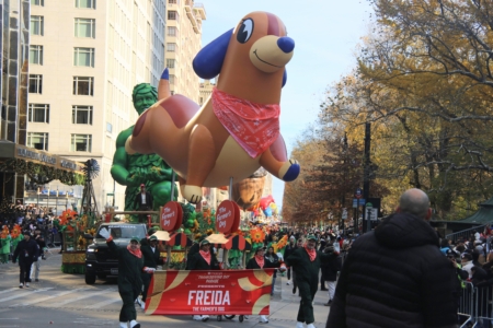 򡰸Freida the Dachshund