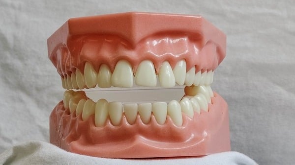 ����ή����Pixabay��