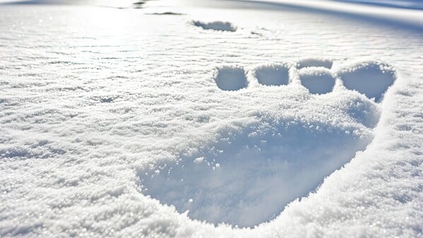 ѩ�� �㼣 716516899