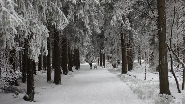 С���ȹ��ȵ���֮���������������������׺�����ȣ��������岻�ʣ�