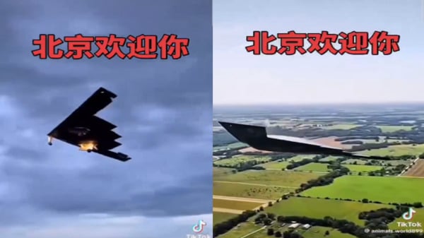 ������ӭ��