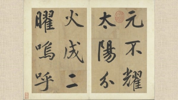 Ԫ��������͸��ž���