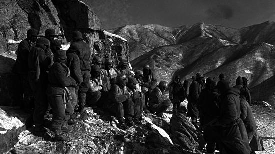 �����ս���У�־Ը���ڹ���������������Ͷ�� ��ͼƬ��Դ����Ƶ��ͼ��