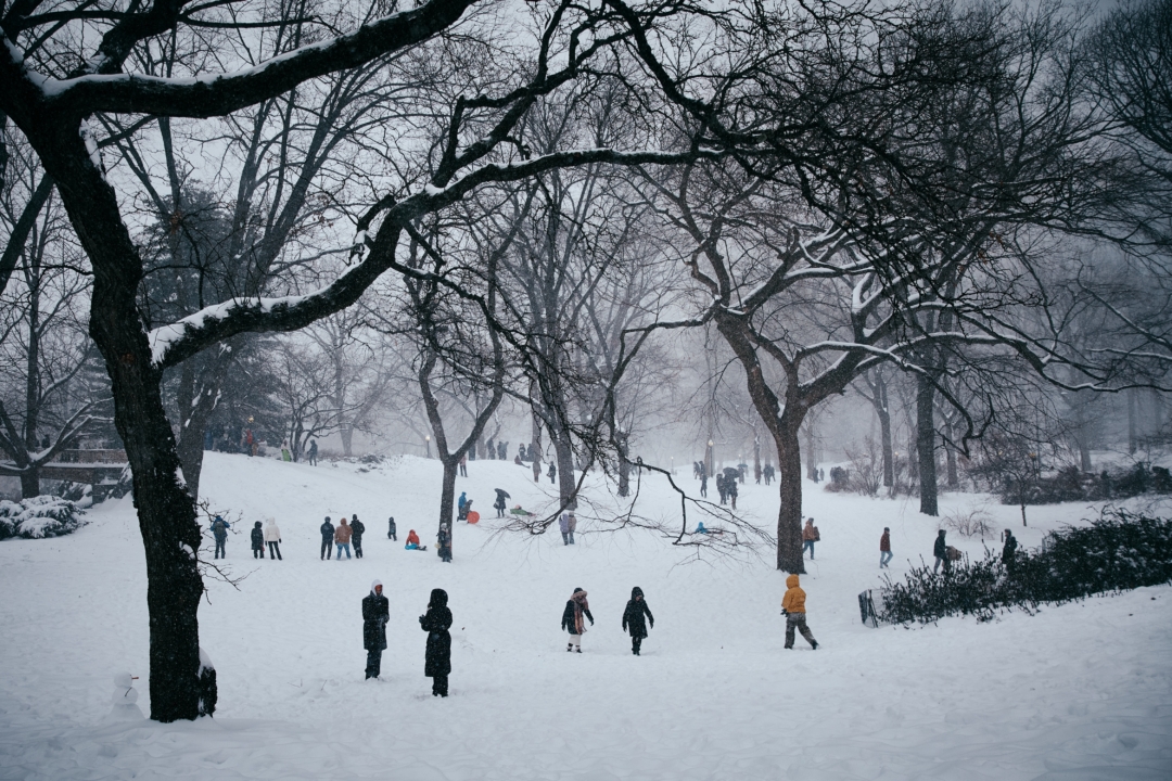 2026��1��25�գ�ŦԼ�У�New York City���������ڽ�ѩ�ڼ������빫԰���һ�����ģ�����籩��Ϊ���������Ϻ�������뽵ѩ�� (Andres Kudacki��Getty Images)