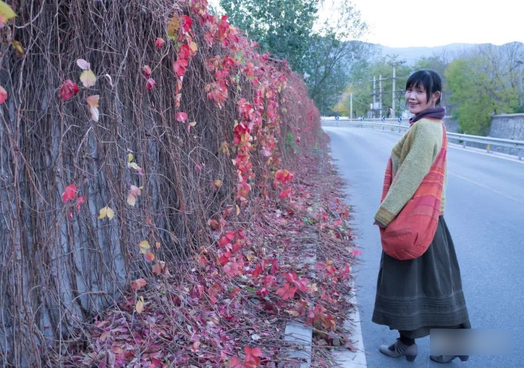 ����53��ı����������������㱱�������ڼ���Ƭ�����й����ַǷ���Ѻ�����ߡ�ͼΪ���ǡ������Ԫ��