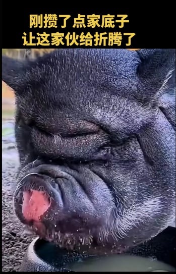 ����