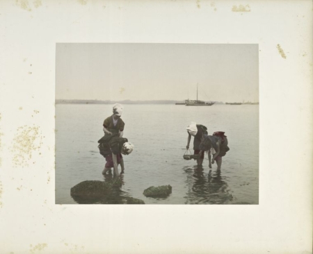 �ɼ�����ĸ�Ů�ǣ�Women Gathering Shellfish������The New York Public Library Digital Collections��