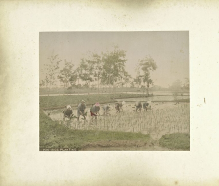 ũ���������������The New York Public Library Digital Collections��