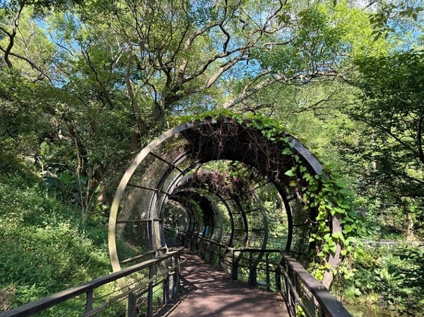 台湾桃园虎头山全龄友善步道