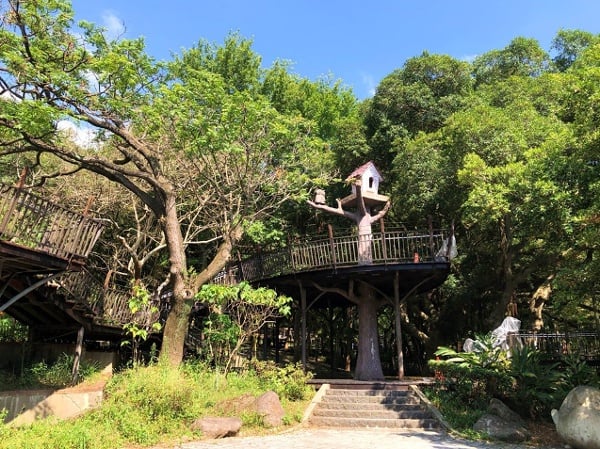台湾桃园虎头山奥尔森林学堂
